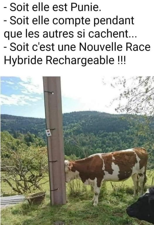 Blague   soit elle est punie   soit elle compte pendant que les autres si cachent   soit une nouvelle race hybride rechargeable