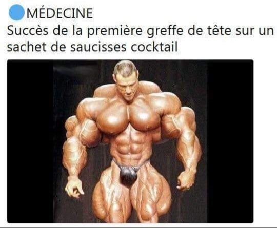 Blague   succès 1 ère greffe de tête sur un schet de saucisse coktail