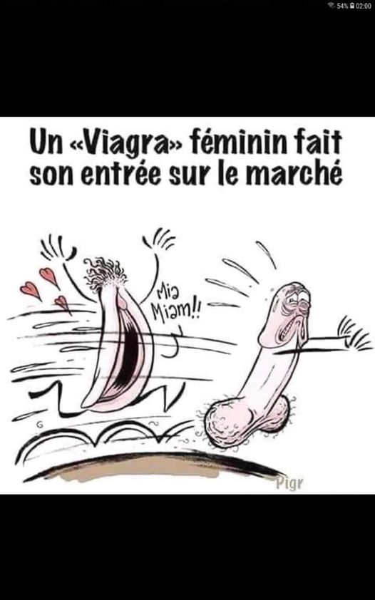 blague   sexe   un viagra féminin fait son entrée sur le marché