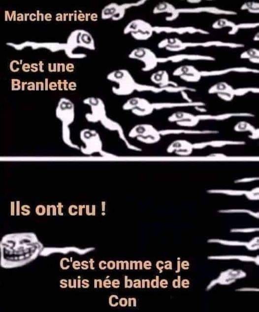 blague   spermatozoide qui dit au autres marche arrière c'est une branlette