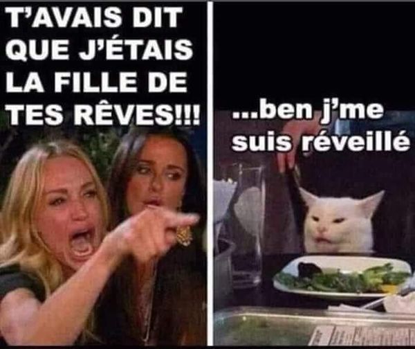 Blague   t'avais dit que j'étais la fille de tes rêves   ben je me suis révéillé