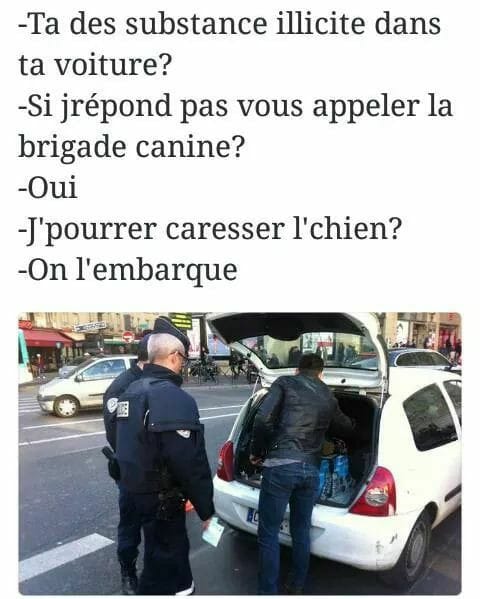 Blague   ta des substance illicite dans ta voiture   si jrépond pas vous appeler la brigade canince   oui   j'pourrais caresser le chien