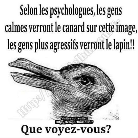 Blague   test de vision