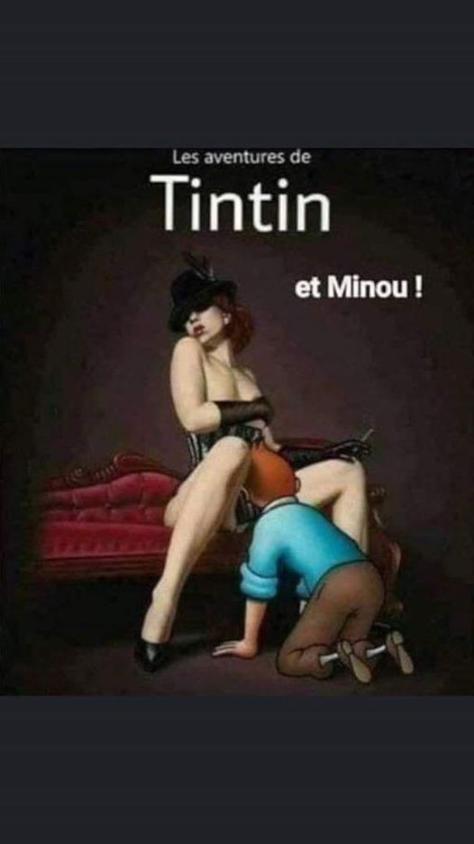 Blague   tintin et minou