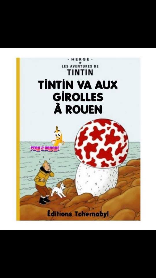 Blague   tintin va au girolle à rouen