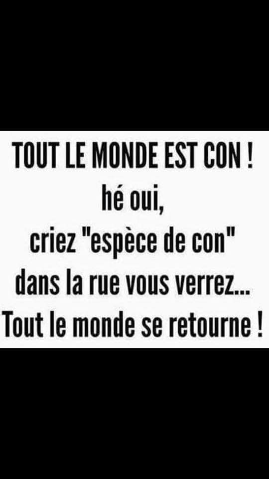 Blague   tout le monde est con he oui criez espèce de con dans la rue vous verrez tout le monde se retourne