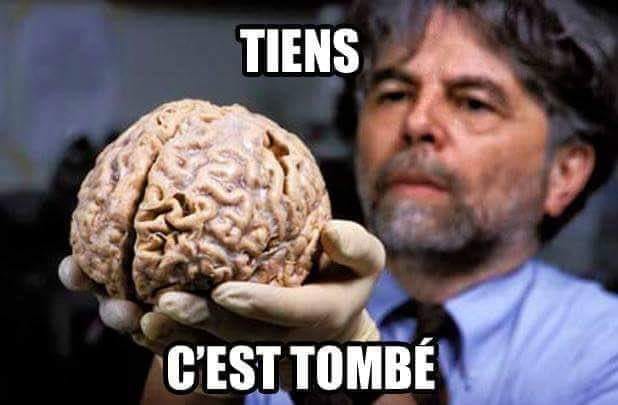 Blague   tu as fait tombé quelquechose cerveau