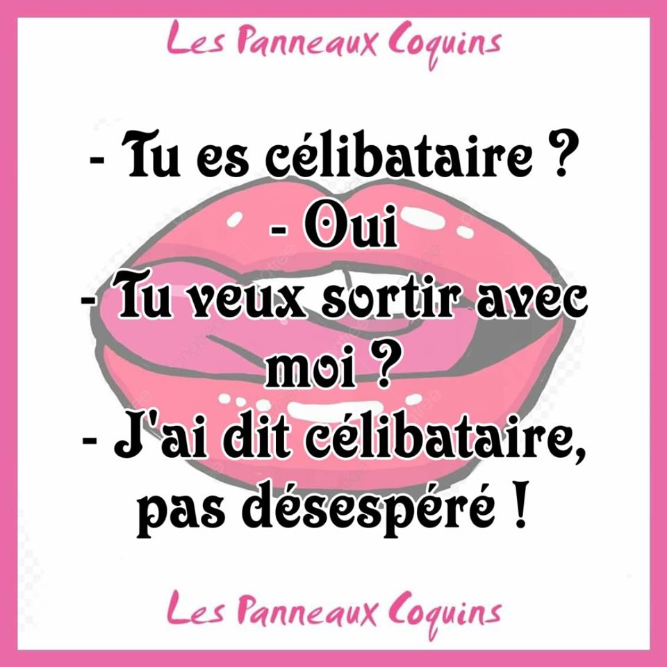 Blague   tu es célibataire   oui   tu veux sortir ave cmoi   j'ai dit célibataire pas désespéré