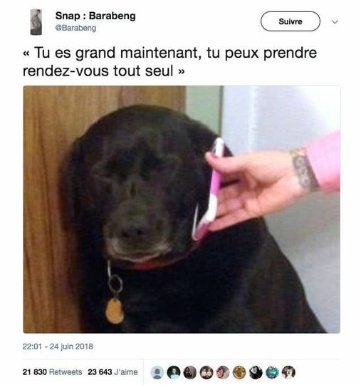 blague   tu es grand maintenant,tu peux prendre rendez vous tout seul