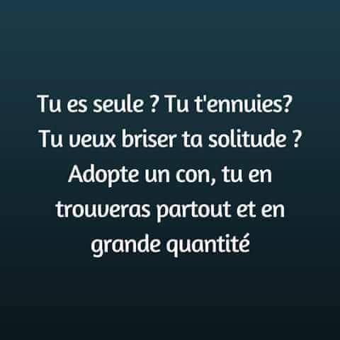 blague   tu es seul   tu t'ennuies   tu veux briser ta solitude   adopte un con tu en trouveras partout et en grosse quantité