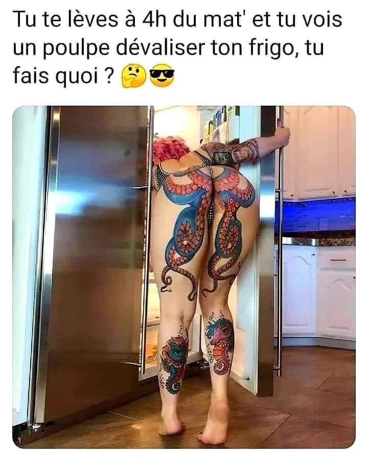 blague   tu te lève à 4h du matin et tu vois un poulpe dévaliser ton frigo, tu fais quoi