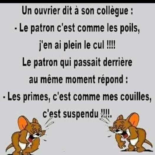 Blague   un ouvrier dit à son collègue   l epatron c'est comme le spoils j'en ai plein le cul l epatron qui passait derrière les primes c'est comme les couilles c'est supendu