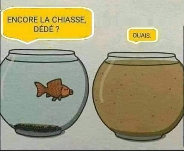 Blague   un poisson dit encore la chiasse