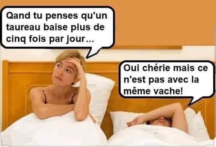 Blague   une femme dit à son homme quand tu penses qu'un taureau baise plus de 5 fois par jour et l'homme répond oui mais pas avec la même vache