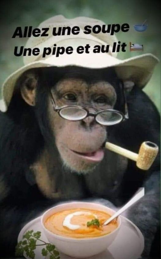 Blague   une soupe et une pipe et au lit