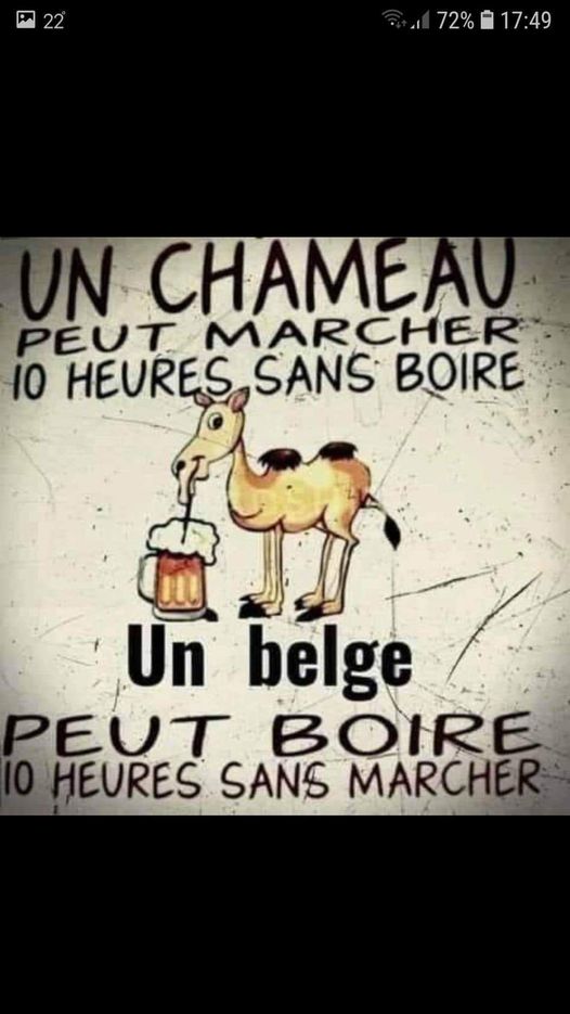 blague   un chameau peut marcher 10 heure sans boire , un belge peut boire 10 heure sans marcher