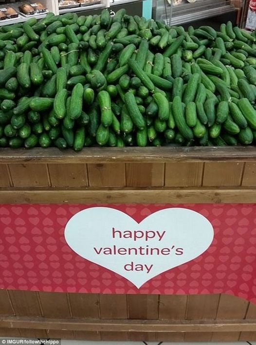 Blague   Valentin   femme   sexe   plusieurs concombres ou courgettes