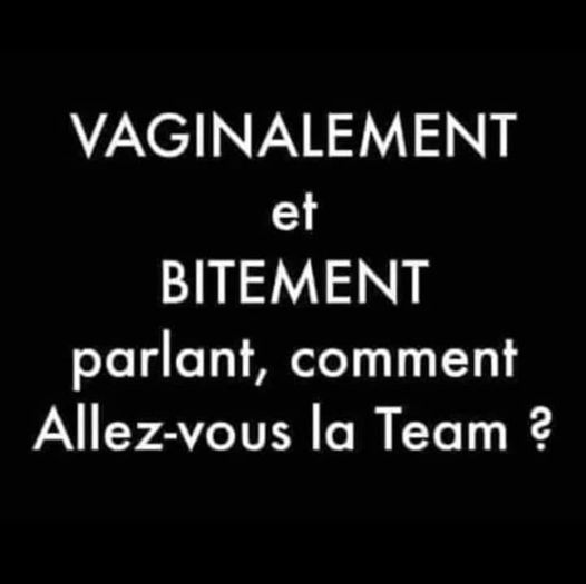 Blague   vaginalement et bitement parlant comment allez vous la team