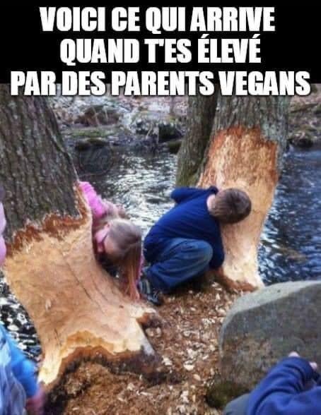 Blague   voici quand t'es élevé par des parents vegans