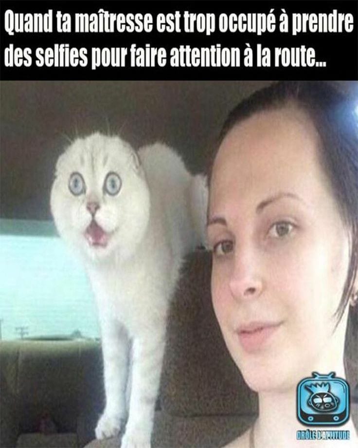 Blague   voiture   quad ta maitresse est trop occupé à prendre des selfie pour faire attention à la route