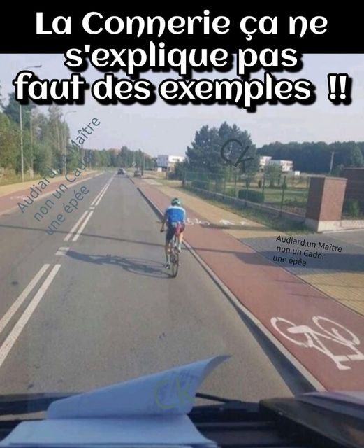 Blague   vélo sur la route au lieu de rouler sur la bande de passage vélo