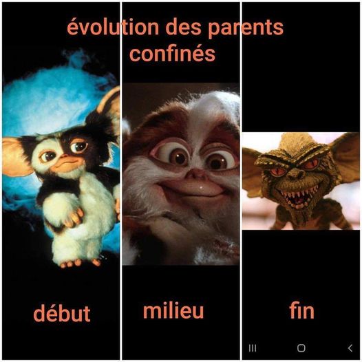 blague   vaccin   confinement   évolution des parents confinés   début milieu fin