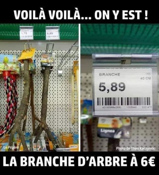 blague   voilà on y est la branche d'arbre à 6 euro