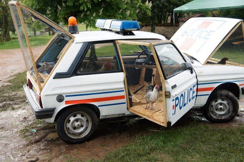 blague   voiture de police transformé en poulaillé