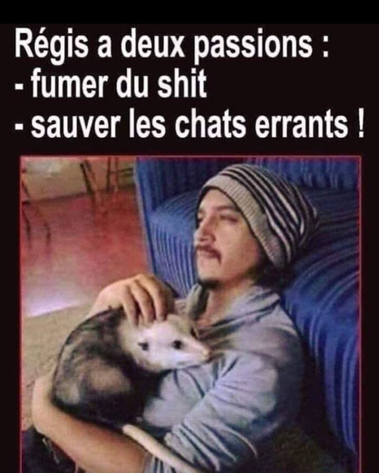 Blagues   Régis a 2 passions fumer du shit et sauver les chats errants