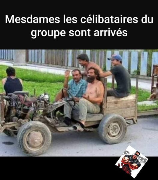 Blagues   mesdames   les cléibataires du groupe sont arrivés