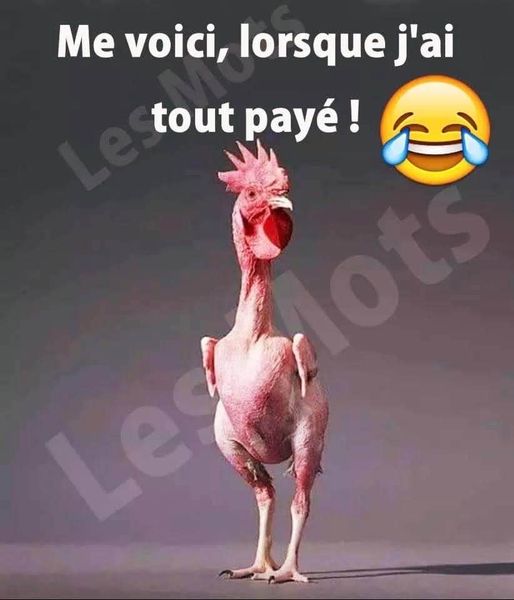 blague  caricatur   facture   me voiçi, lorsque j'ai tout payé