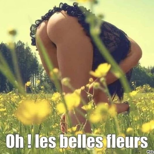 blague  oh les belles fleurs