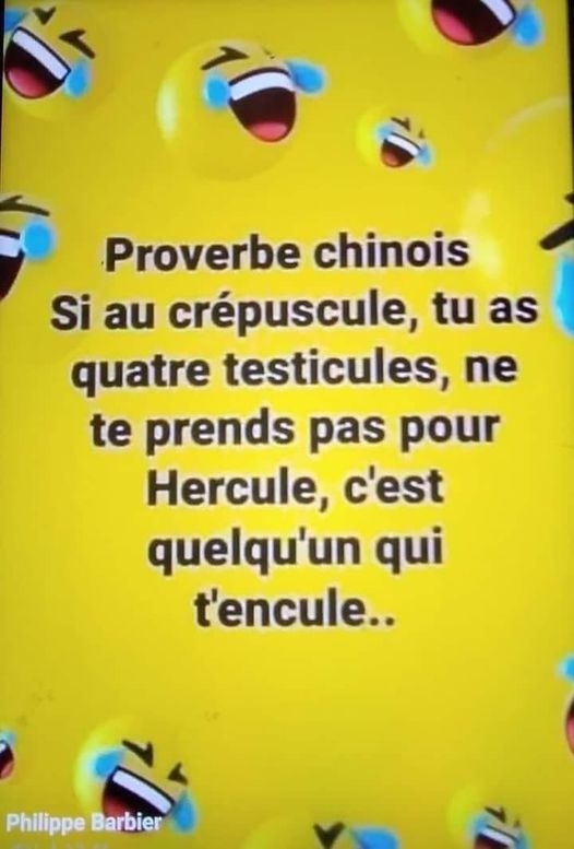 blague chinois si pour le crepuscule tu as 4 couille ne te prend pas pour hercule c'est qu'on t'encule