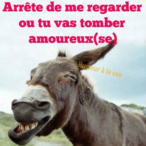 Humour   Ane   arrete de me regarder tu vas tomber amoureux