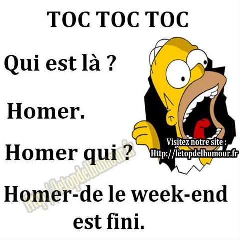 Humour   C'est Homer   qui   Homer de la week end est fini