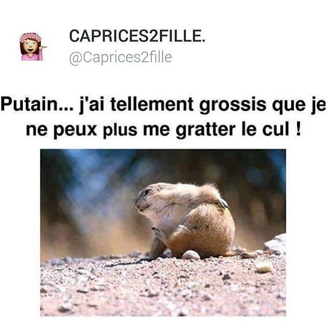 Humour   J'Ai Telement Grossis Que Je Ne Peux Plus Me Gratter Le Cul