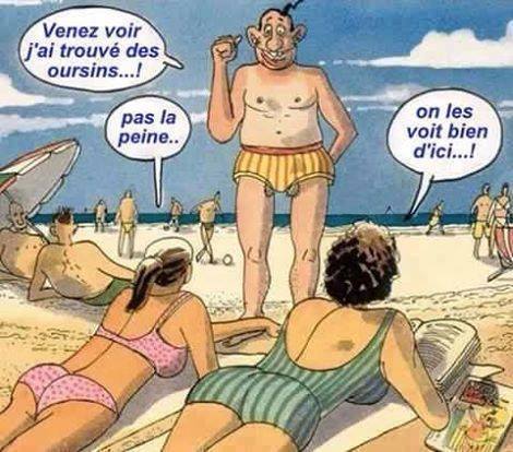 Humour   Plage   venez voir j'ai trouvez des oursin   ça ira on les voit bien d'ici