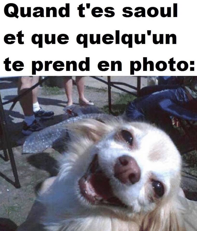 Humour   Quand Tu Es Saoul Et Que Quelqu'Un Te Prend En Photo