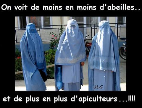 Humour   blague   burka   on voit de   en   d'abeille mais + d'apiculteur