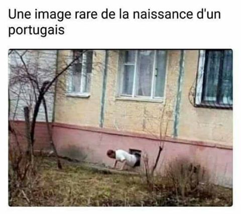 Humour   blague   la naissance d'un portugais