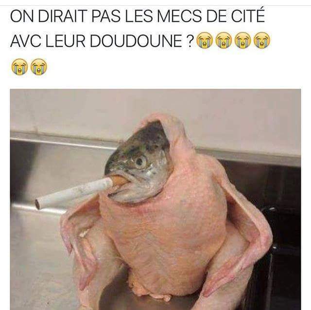 Humour   blague   on dirait les mes de cité avec leur doudoune