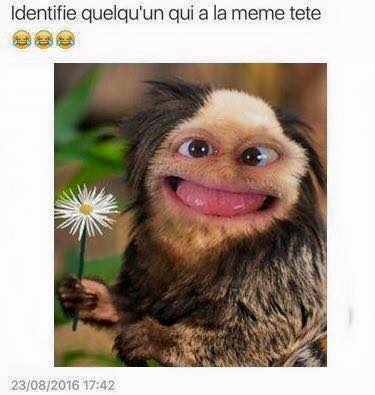 Humour   identifie quelqu'un qui a la meme tete