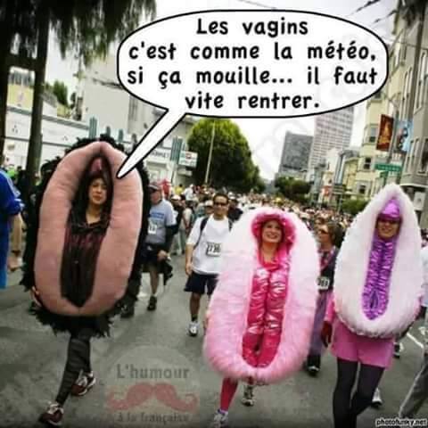 Humour   sexe   le vagin c'est comme la météo quand ça mouille il faut vite rentré