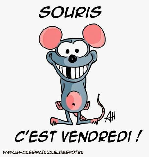 Humour   souris c'est vendredi