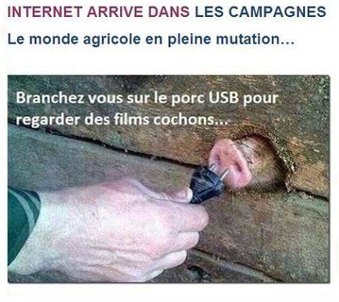 Internet   blague   jeux de mot   image a double sens   internet arrive en mpagne n'oublié pas de brancher la prise sur le porc