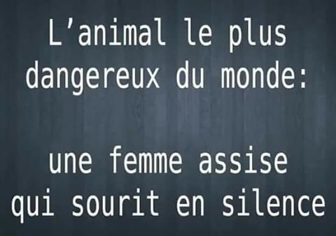 L'animal le + dangereux au mone   une femme assise qui sourit en silence