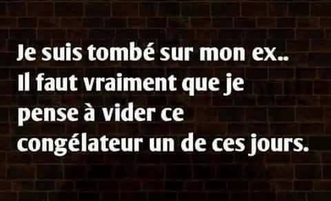 je suis tombé sur mon ex l faut vraiment que je pense à vider ce congélateur un de ces jours