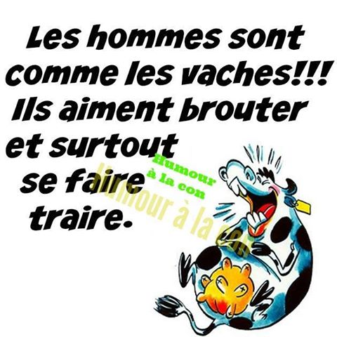 Les hommes sont comme les vaches ils aiment brouter et surtout se faire traire