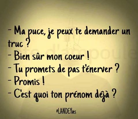 Ma puce je peux te demander un truc   bien sur mon coeur   tu promet de ne pas t'enerver   promis   c'est quoi ton prénom déjà