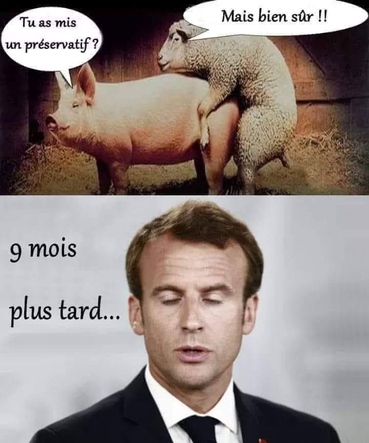 Macron   blague   le cochon dit au mouton tu as mi un preseratif le mouton répond mais bien sur 9 mois plus tard macron